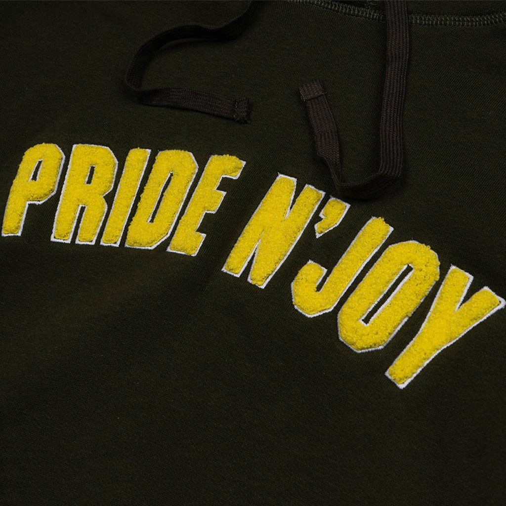 Pride N Joy Co - Arc Logo Hoodie Green - Pride N Joy Co