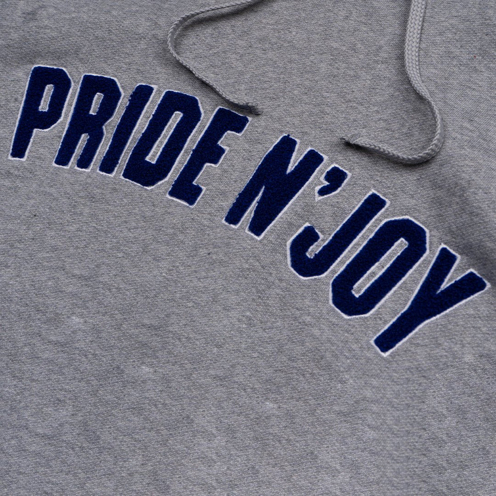 Arc Logo Hoodie Grey - Pride N Joy Co