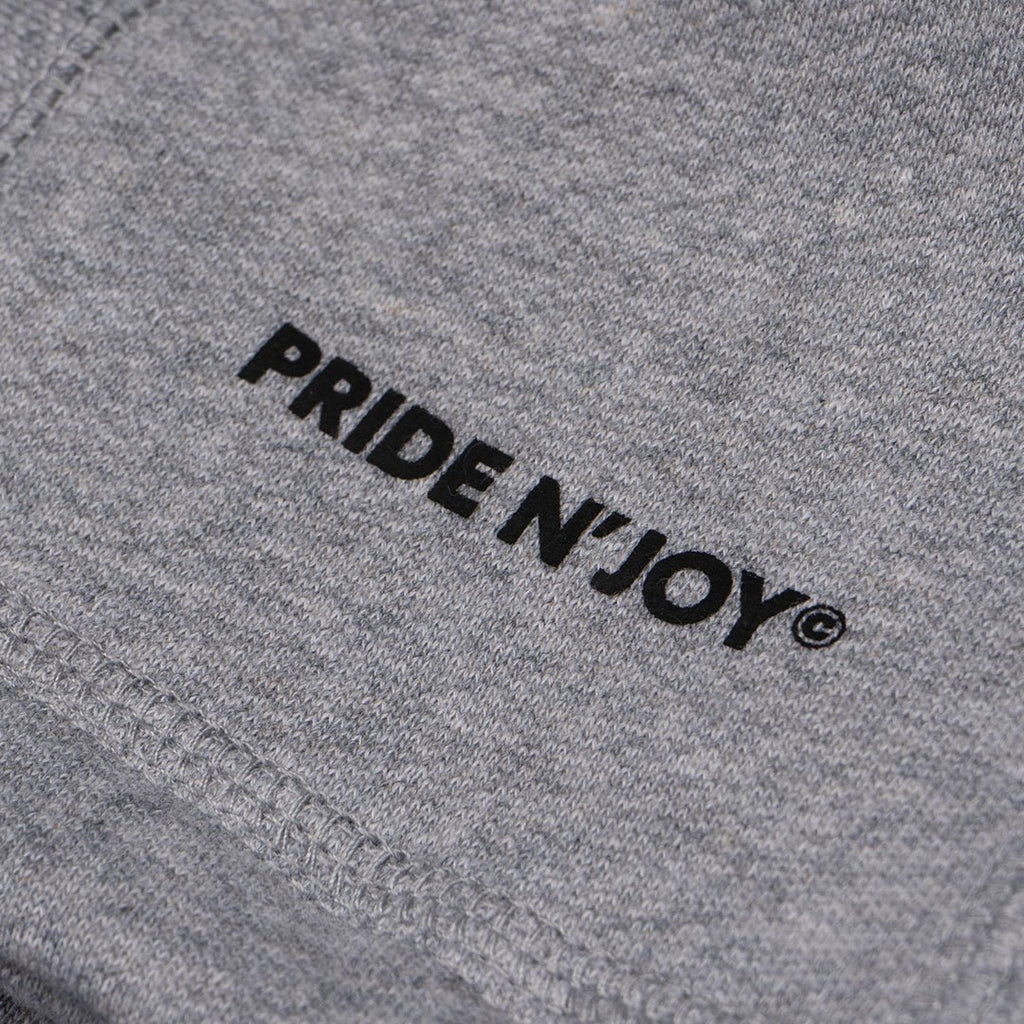 Arc Logo Hoodie Grey - Pride N Joy Co